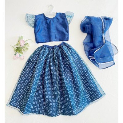 Blue Shimmer Ghagra Choli with Dupatta Blue Shimmer Ghagra Choli with Dupatta