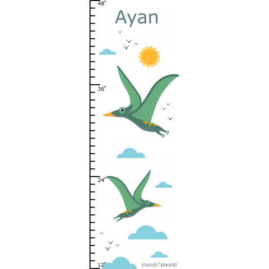 Dino Bird Height Chart