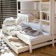 Aurelia Bunk Bed