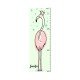 Flamingo Height Chart
