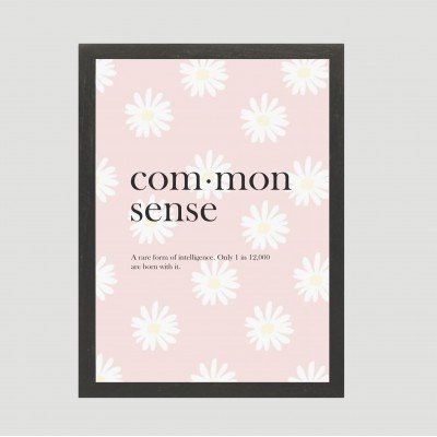 Common sense Frame