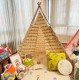 Mountain Teepee Tent