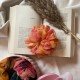 Peach Wave Organza Scrunchie