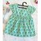 Dahlia Cyan Cotton Printed Dress