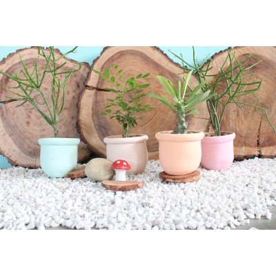 Earthen Eco Planters
