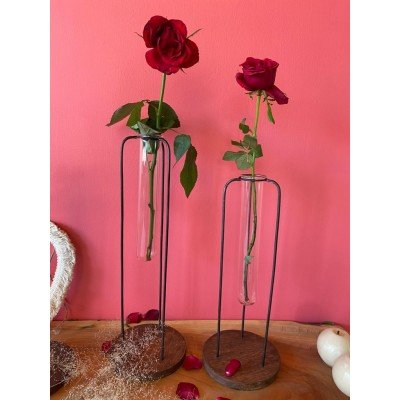 Testtube vase Planter  Testtube vase Planter