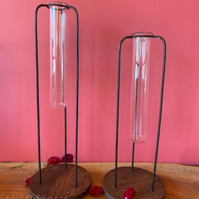 Testtube vase Planter  Testtube vase Planter