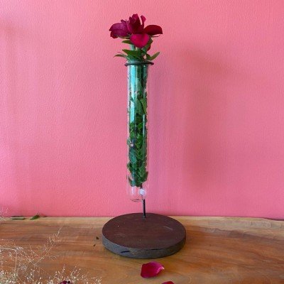 Single tube vase Planter Single tube vase Planter