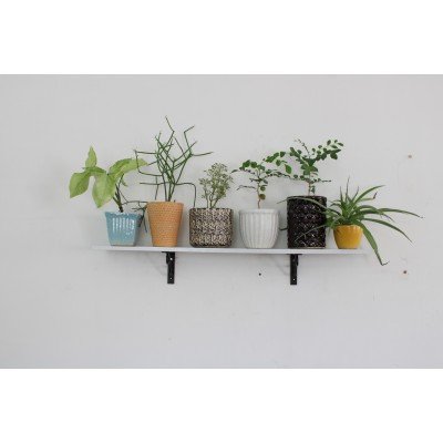 Simple Shelf Simple Shelf