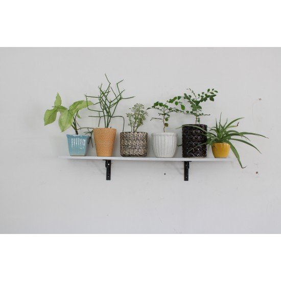 Simple Shelf