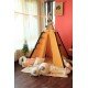 Mustard Window Teepee Tent