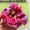 Pink Gingham Scrunchie 