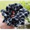 Sapphire Blue Gingham Scrunchie