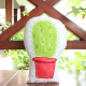 Cactus pot Shape Cushion