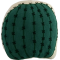 Green Cactus Round Shape Cushion