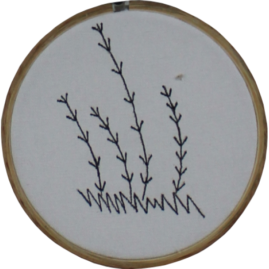 Grass Hoop