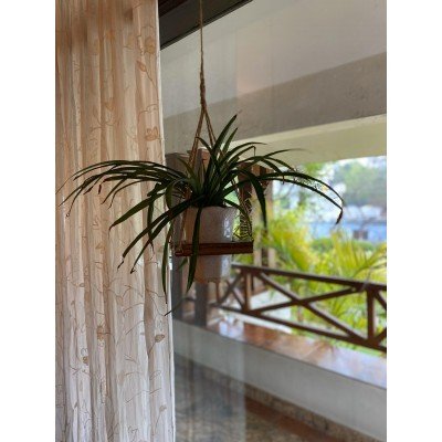 Square Hanging Planter Square Hanging Planter