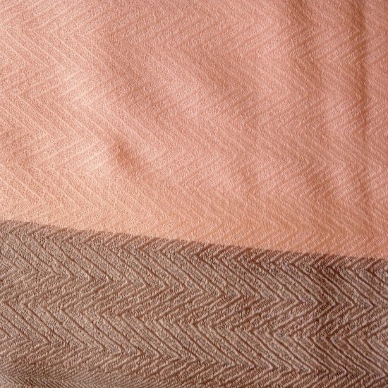 Pink With Brown Border Cashmere Stole