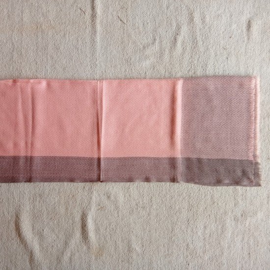 Pink With Brown Border Cashmere Stole