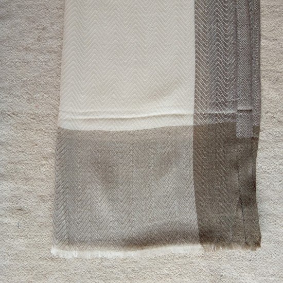 White With Brown Border Cashmere Stole
