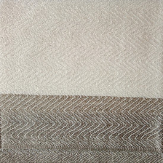 White With Brown Border Cashmere Stole