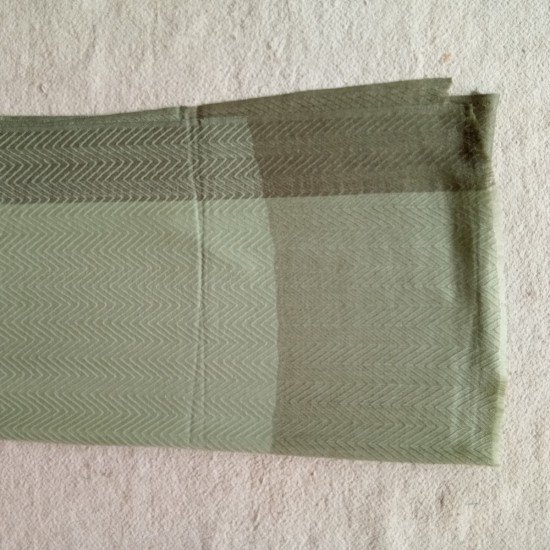 Sap Green With Brown Border Cashmere Stole