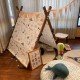 Dino Tent Dino Tent