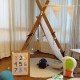 Dino Tent Dino Tent